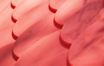 Frocester plastic roof costs